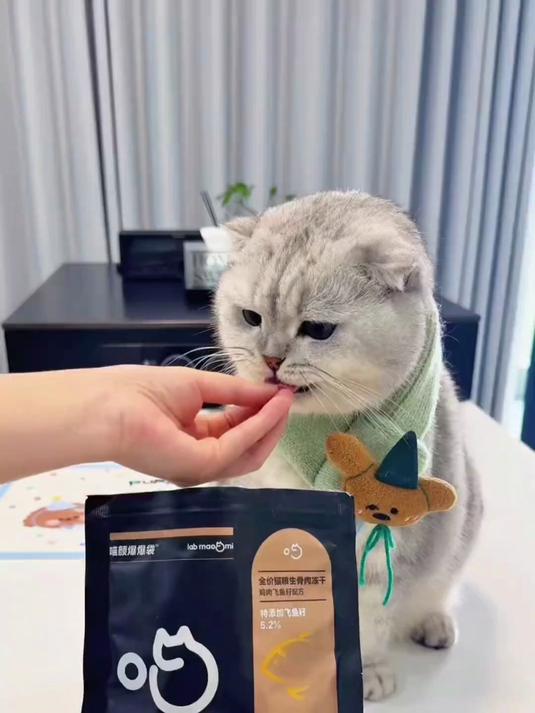 喵咪颜究社鸡肉飞鱼籽全价猫粮!便宜实惠!