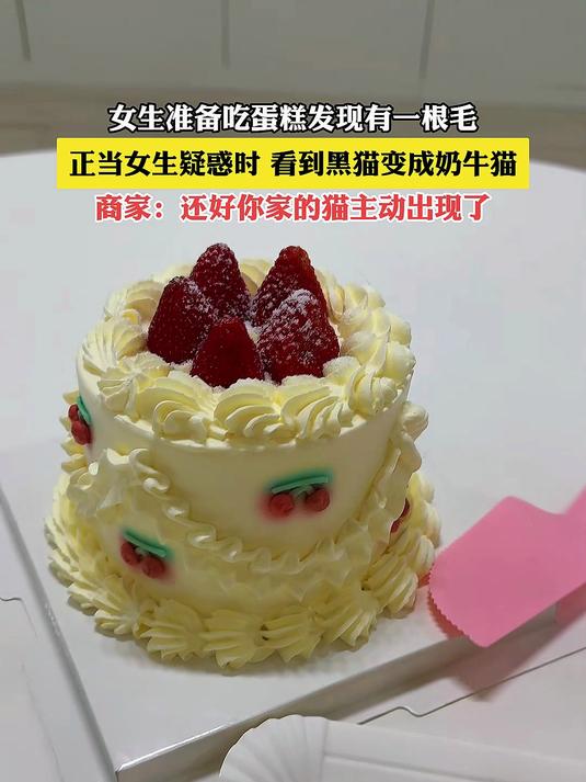 女生吃蛋糕发现有一根毛,正当女生疑惑时,看到黑猫变成奶牛猫