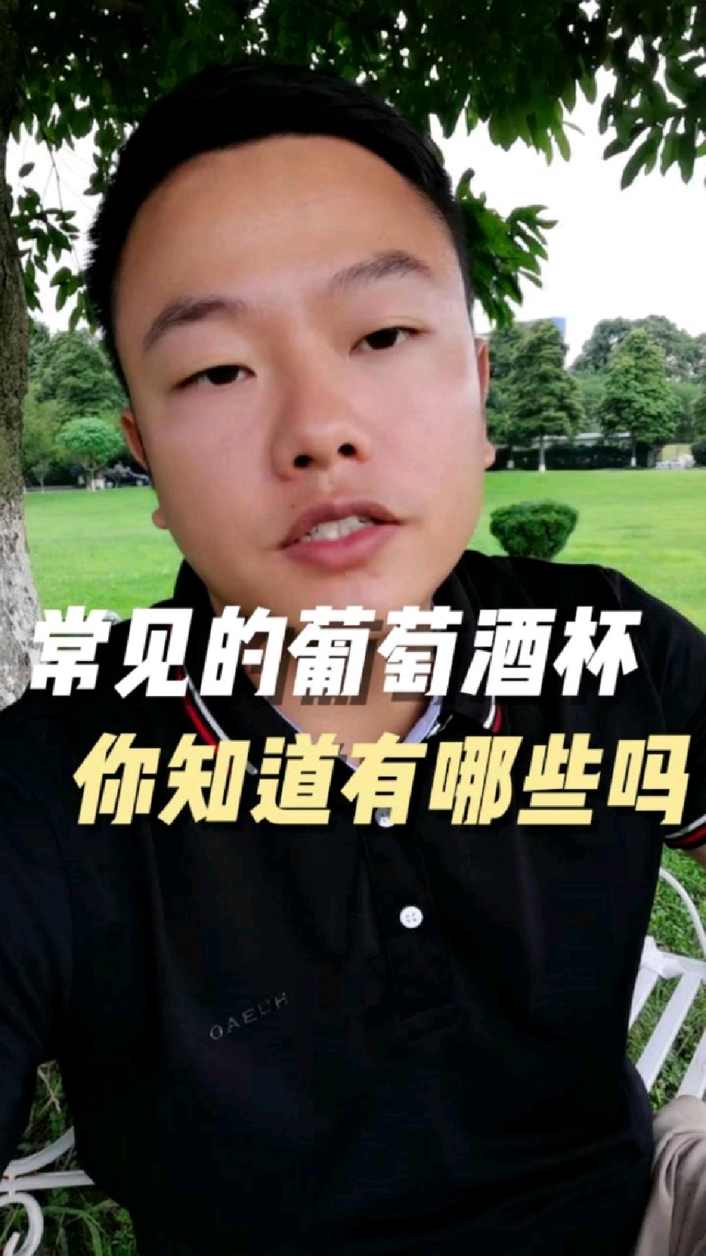 常见的葡萄酒杯你知道有哪些吗?