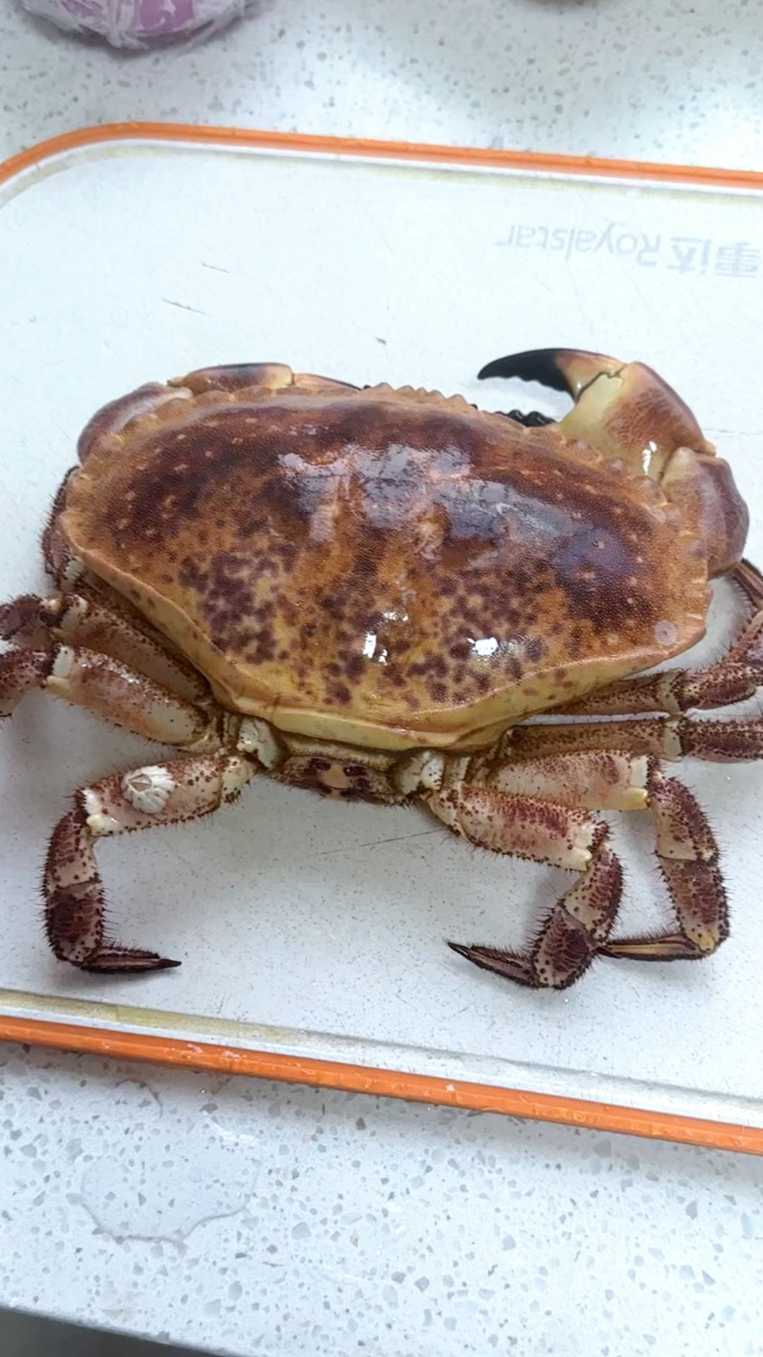 面包蟹的神仙吃法