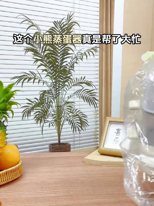 小熊(Bear)煮蛋器 蒸蛋器 小型电蒸锅自动断电 家用多功能早餐?