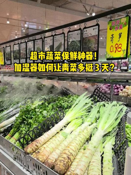 超市蔬菜保鲜神器！加湿器如何让青菜多挺 3 天？