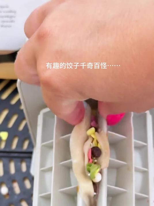 老姐的饺子越来越抽象了……