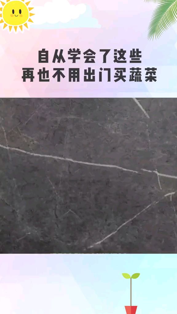 吃不完的蔬菜别丢掉,直接种在鸡蛋壳里面,可以当盆栽,又可以种出蔬菜