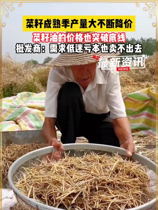 新鲜的小榨菜籽油准备好咯!