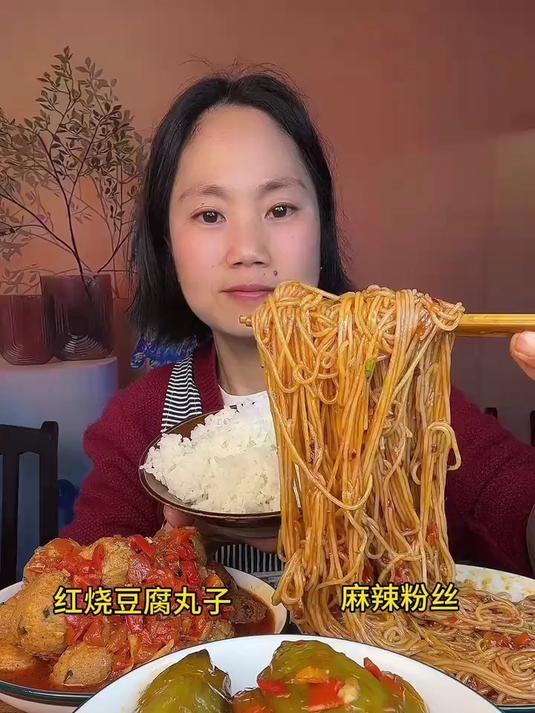 红烧豆腐丸子鲜香软糯麻酱粉丝浓醇入味暖身又满足