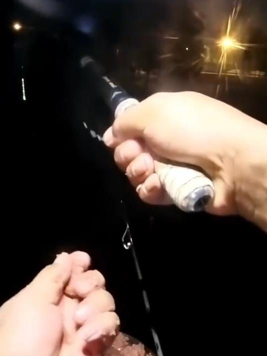 野钓鲤鱼技巧,钓鲤鱼野钓视频,钓鱼其实很简单