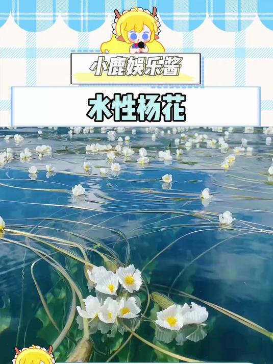 以后听见水性杨花我将默认是在夸我