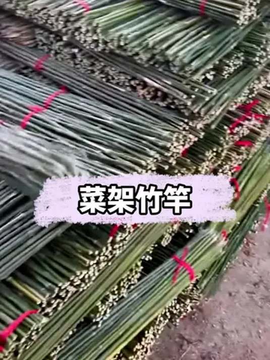 搭豆角黄瓜西红柿爬藤架,菜架竹竿你备好了吗?