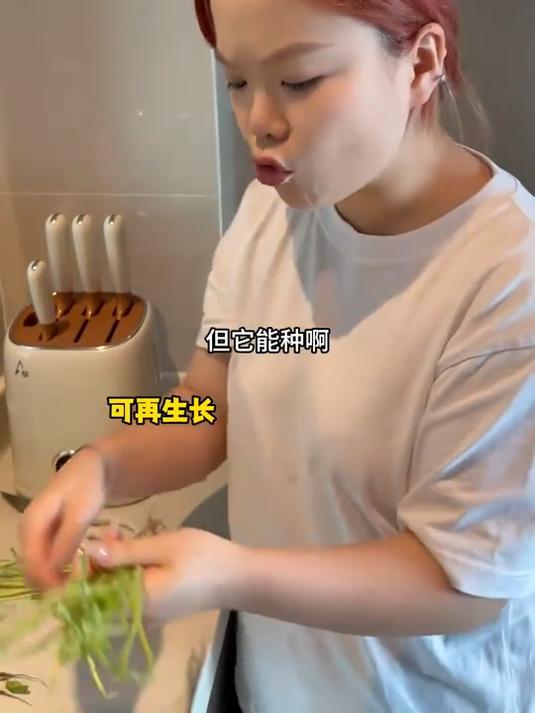 到底是谁爱吃荆芥