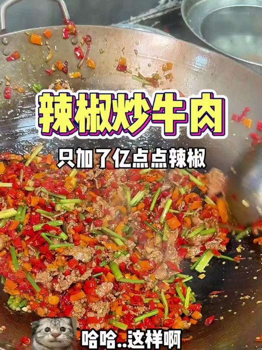吃到了只加了亿点点辣椒的炒牛肉！！湖南人你们都是这么吃的吗？