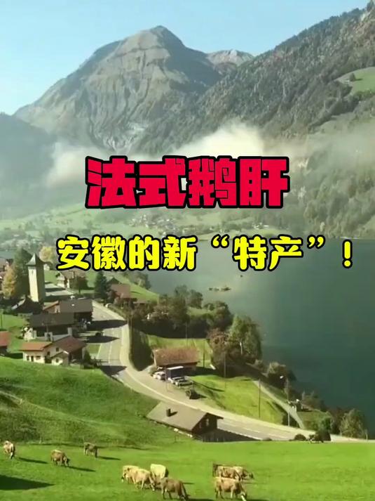 六安霍邱的法式鹅肝,宿州的伏特加,郎溪的蓝莓