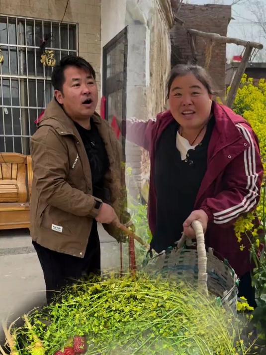 阳春三月三荠菜煮鸡蛋