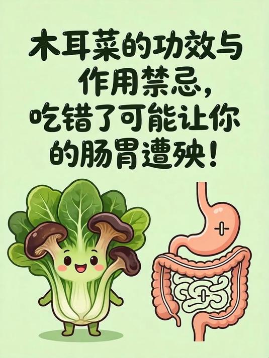 木耳菜的功效与作用禁忌,吃错了可能让你的肠胃遭殃!