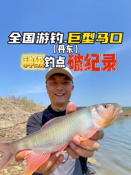 全国最大体型马口鱼#钓鱼##户外#