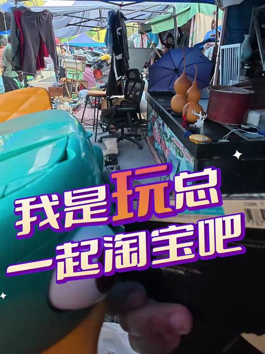 我是玩总 淘—迪士尼鸭嘴兽泰瑞cd机