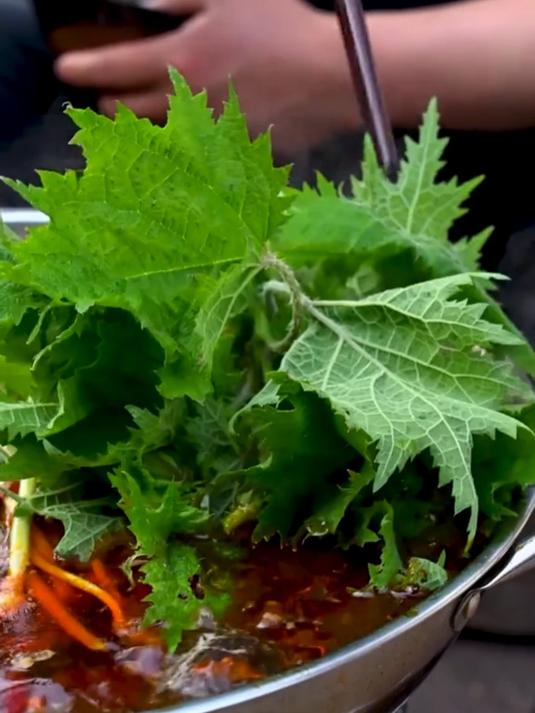 这些各种各样的蔬菜，你都吃过吗？