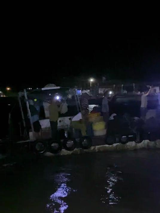 对于八爪鱼我是大意了,但海底毒液真是越看越好看