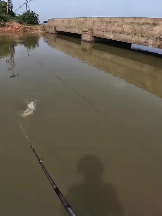小胖子飘落蓝刃迷你小炫彩远投铁板路亚饵淡水海钓羽毛钩翘嘴饵