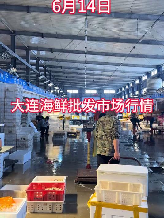 大连海鲜批发市场实拍展示海鲜丰富多样吸引众多采购者