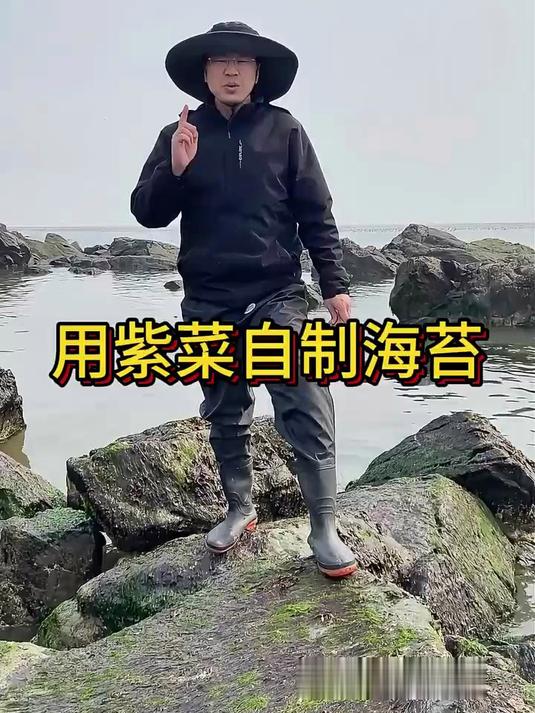 海里大片紫菜没人采，做成海苔太香了#赶海