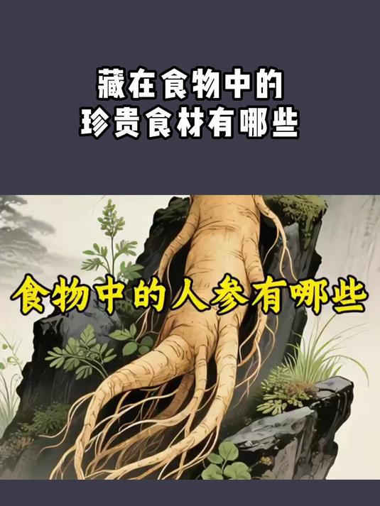 藏在食物中的珍贵食材有哪些?你知道吗?