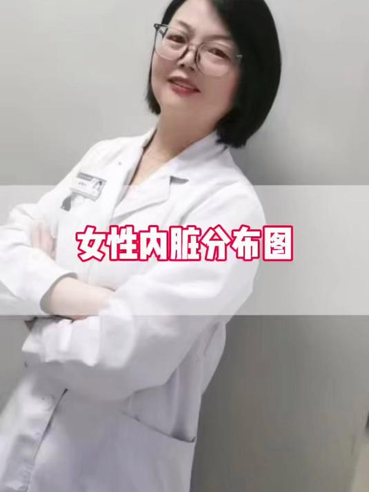 女性内脏分布图