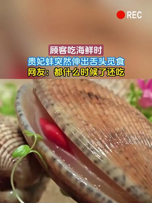 顾客吃海鲜时,贵妃蚌突然伸出舌头觅食,网友:都什么时候了还吃