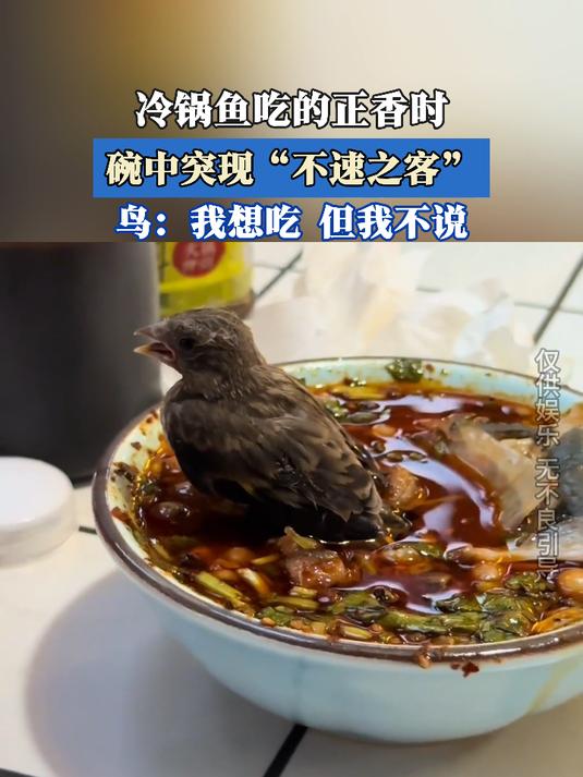 冷锅鱼吃得正香时,碗中突现“不速之客”
