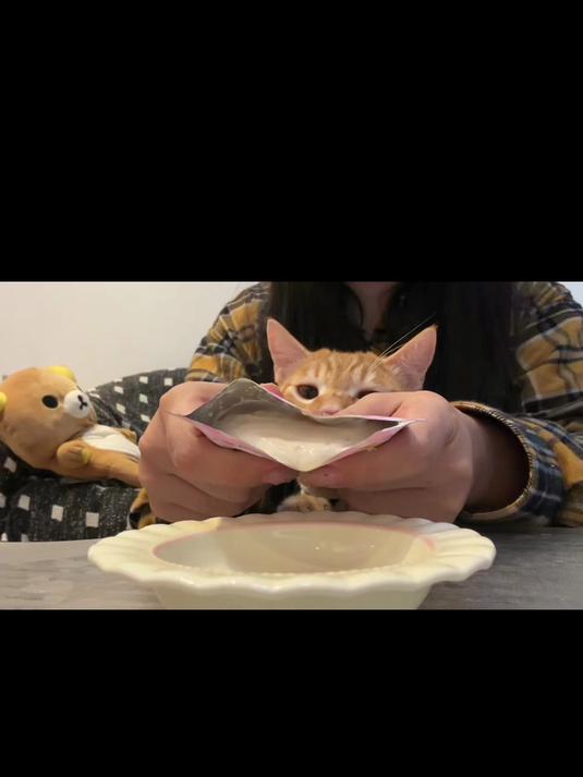 味当家鱼籽奶昔补水汤包猫咪湿粮包猫零食猫罐头美毛汤包