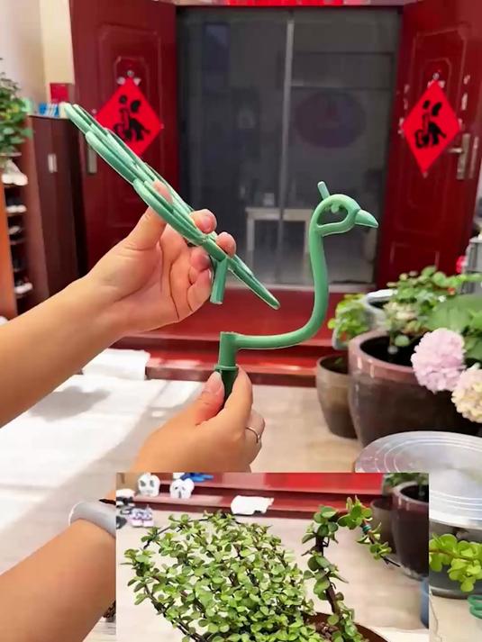 还可以这样给多肉做造型噢