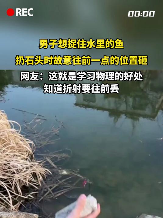 男子想捉住水里的鱼,扔石头时故意往前一点的位置砸