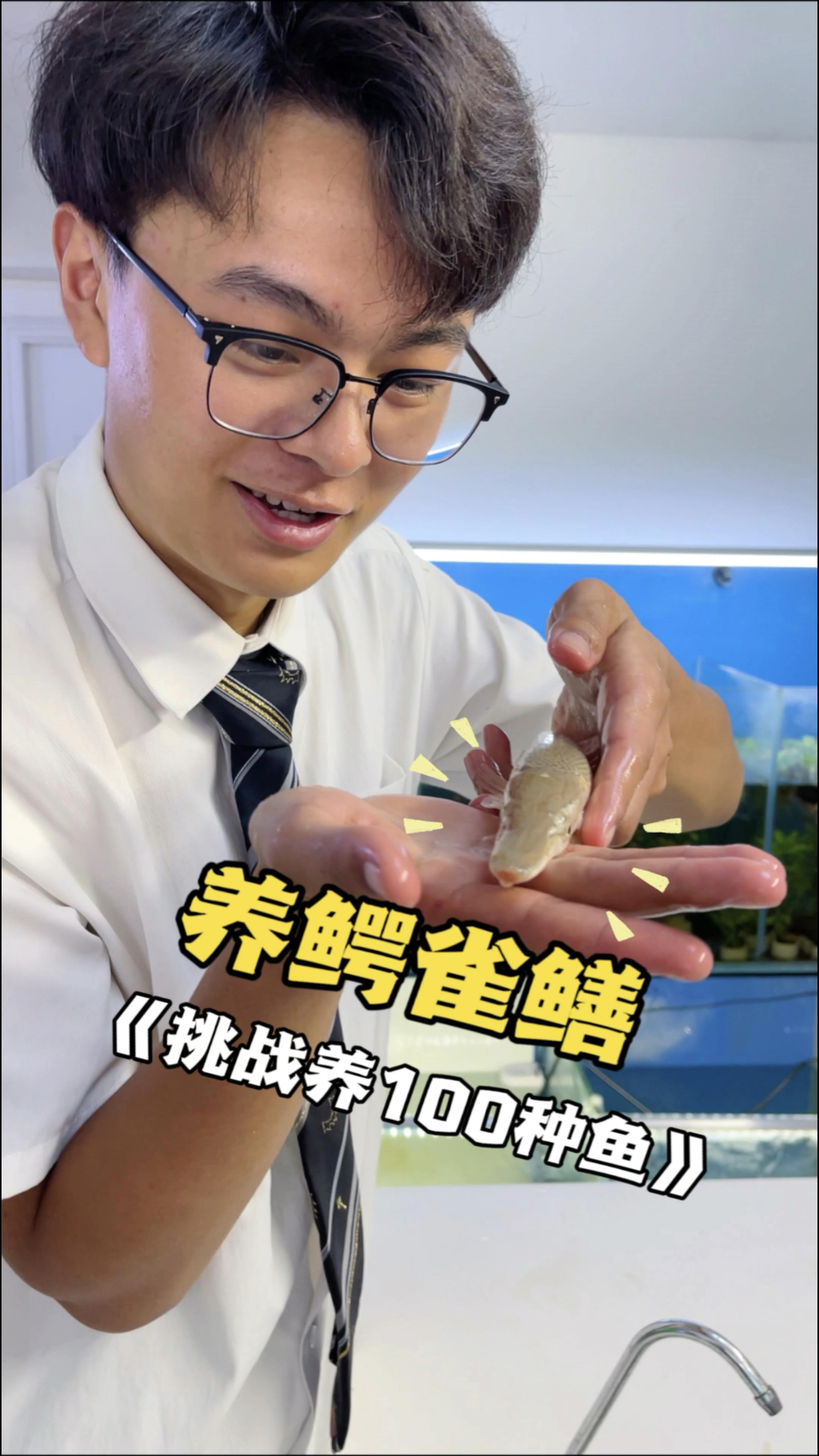 挑战养100种鱼今天养鳄雀鳝