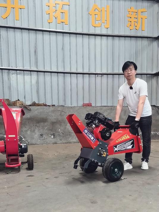 家庭版的小型树枝粉碎机,能否干湿树枝均可粉碎?