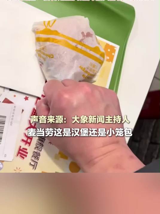 麦当劳汉堡小成马卡龙？网友测量汉堡缩水至8cm