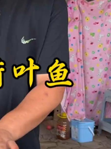 山药荷叶鱼