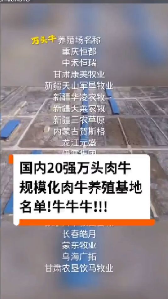 国内大型肉牛养殖基地头部企业名单
