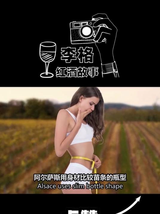 法国十大产区:阿尔萨斯产区!