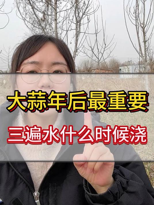 大蒜年后最重要的三遍水什么时候浇