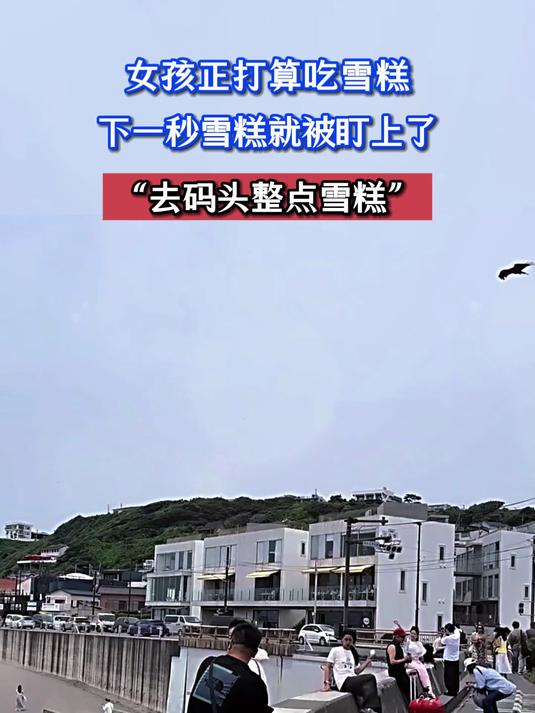 女孩打算吃雪糕，下—秒雪糕就被盯上了，“去码头整点雪糕”