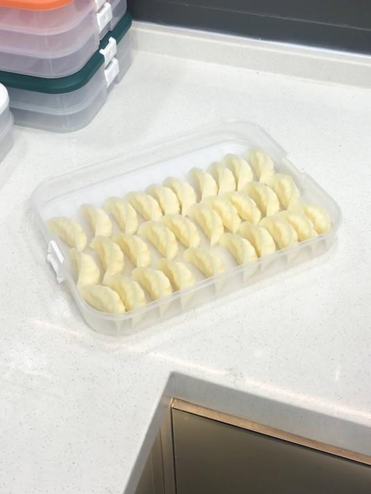 「速冻饺子盒」多层冰箱收纳盒 家用防串味 水饺混沌保鲜冷冻盒