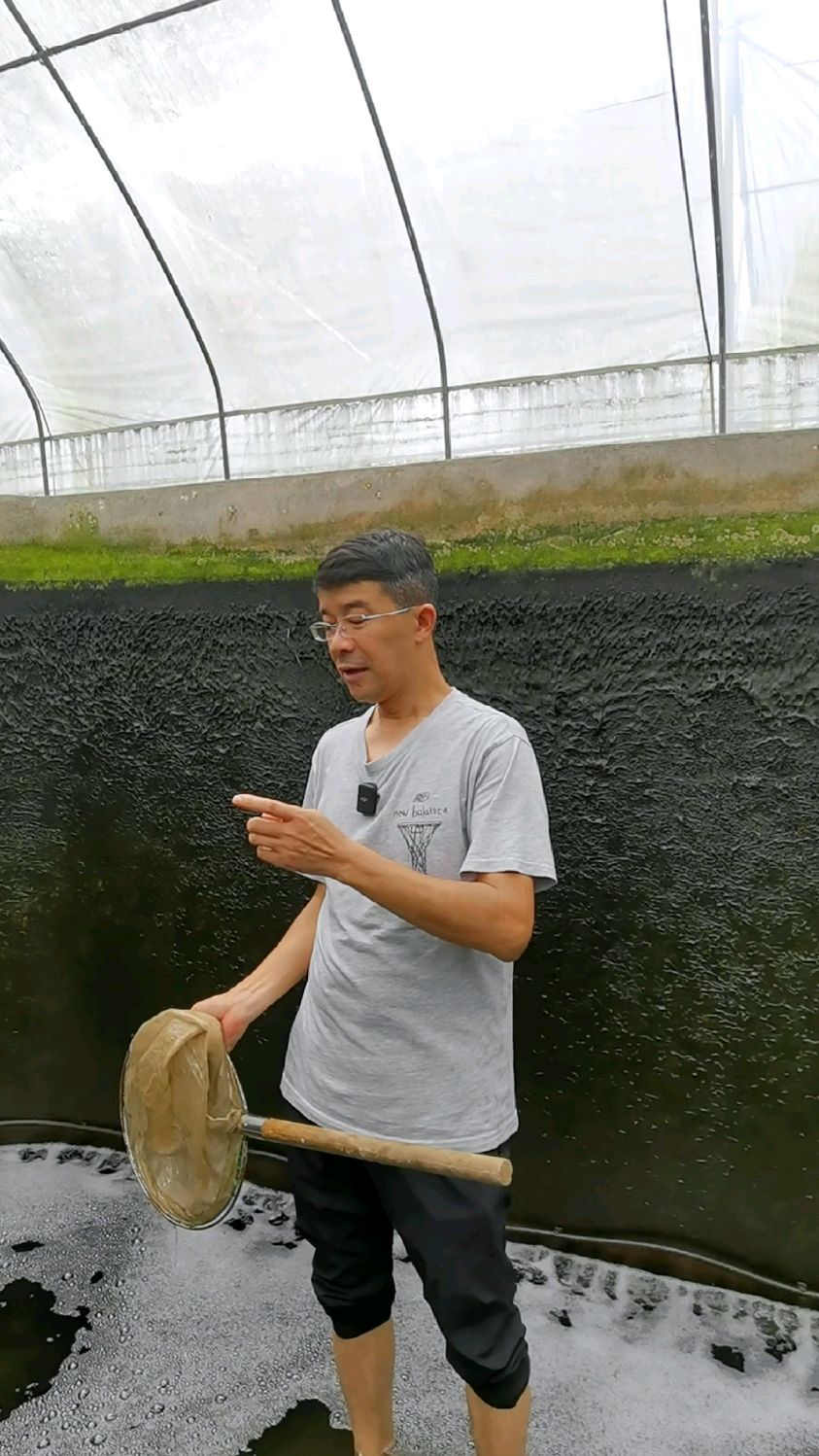 大师教你筛鱼苗