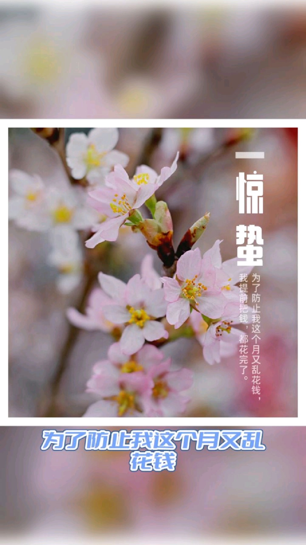 搞笑毒鸡汤系列(17)