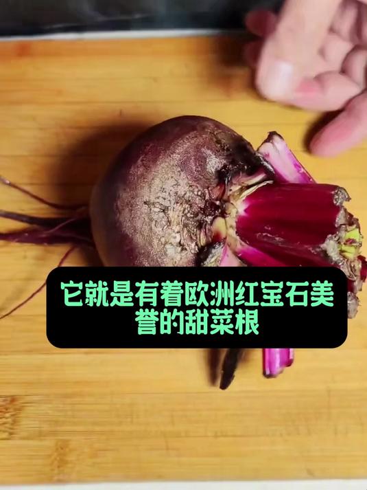 这种甜菜根别错过,含甜菜碱成分,肝脏健康之友