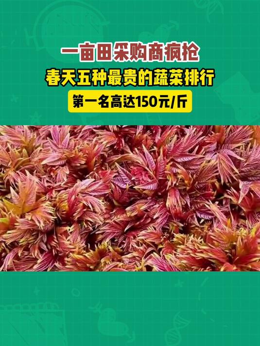 一亩田采购商疯狂抢货的五种特菜,第一名高达150元/斤