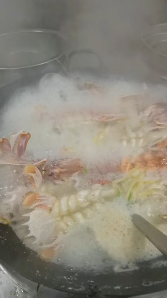 盐水濑尿虾10只50汶