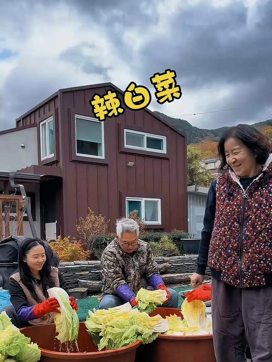 韩国又到准备辣白菜的季节了，以老丈人和韩国媳妇组成的主力军