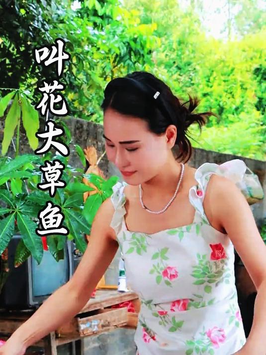 七七车上多了一条大草鱼，拿回来整个叫花大草鱼！肉质香而不腥！