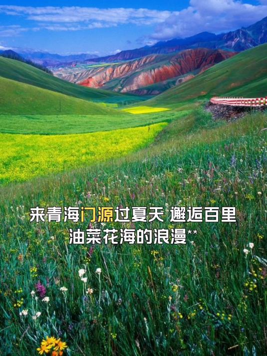 来青海门源过夏天,邂逅百里油菜花海的浪漫