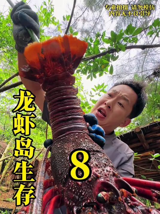 赶海,龙虾岛生存8